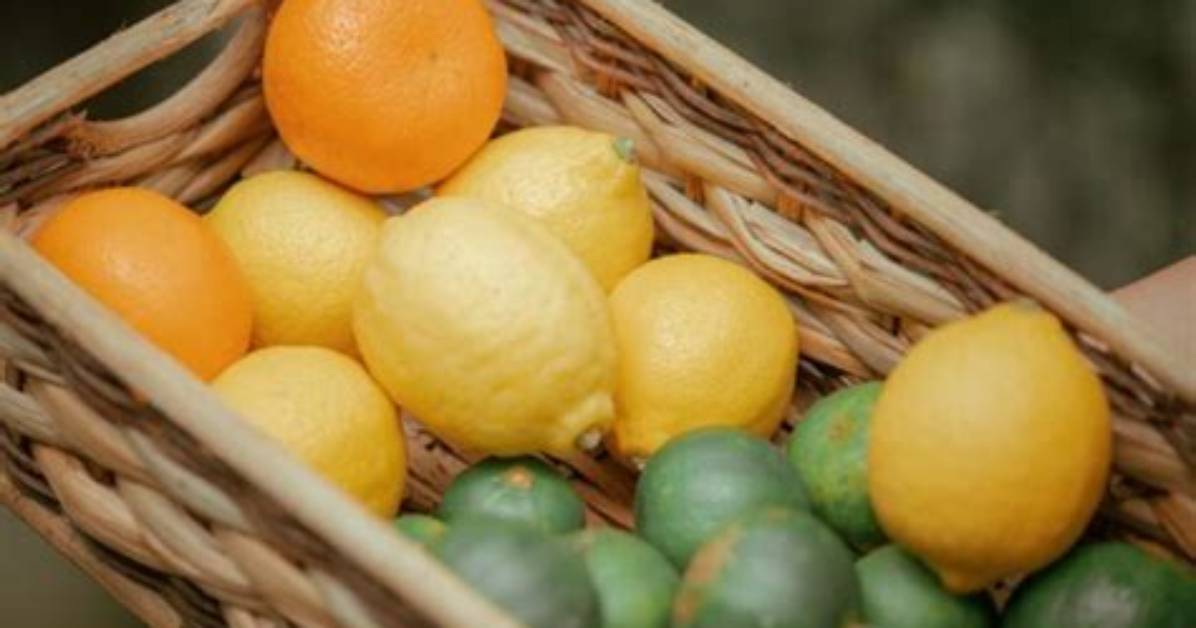Fruits Qui Murissent Une Fois Cueillis?