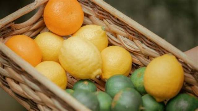 Fruits Qui Murissent Une Fois Cueillis?