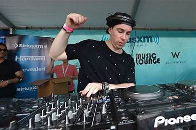 Hardwell Net Worth