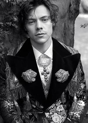 Harry Styles New Gucci Tailoring Campaign Pictures