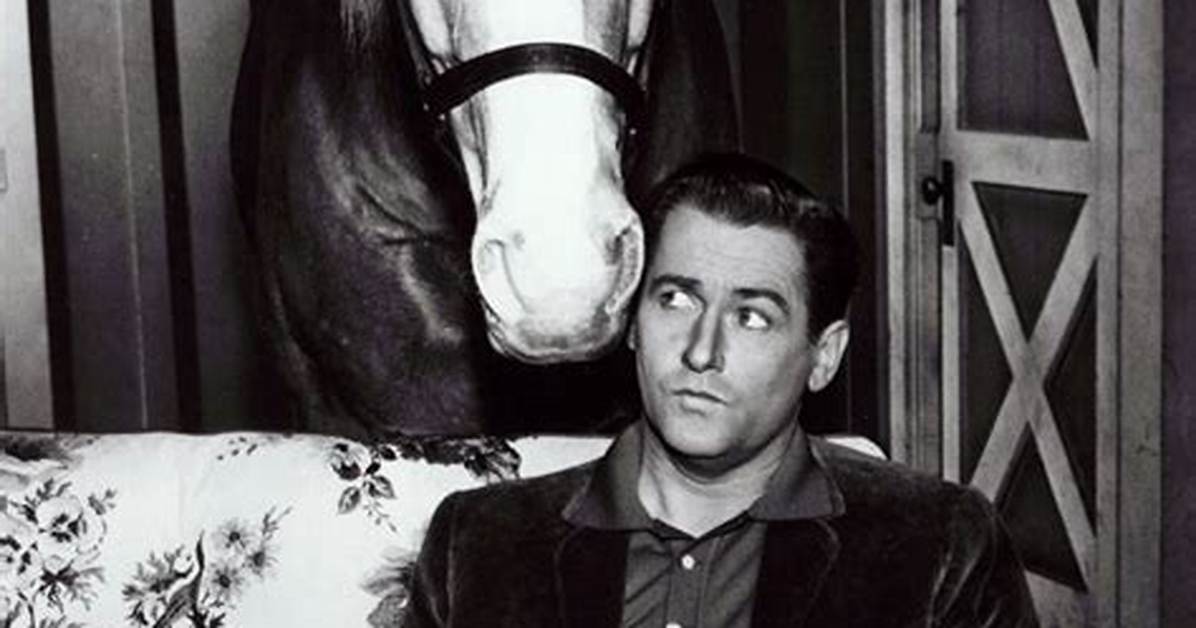 Here's What Happened to 'Mister Ed' Star Alan Young