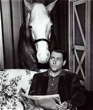 Here's What Happened to 'Mister Ed' Star Alan Young