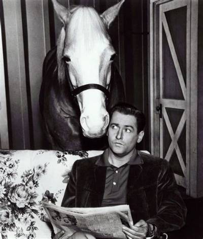 Here's What Happened to 'Mister Ed' Star Alan Young