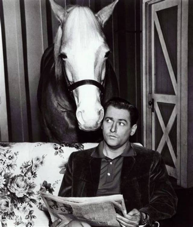 Here's What Happened to 'Mister Ed' Star Alan Young