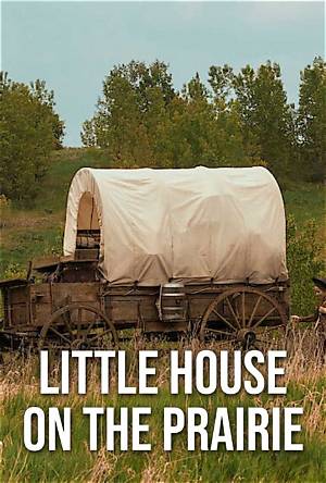 Here's What 'Little House on the Prairie' Star Melissa Sue Anderson Is Doing Now
