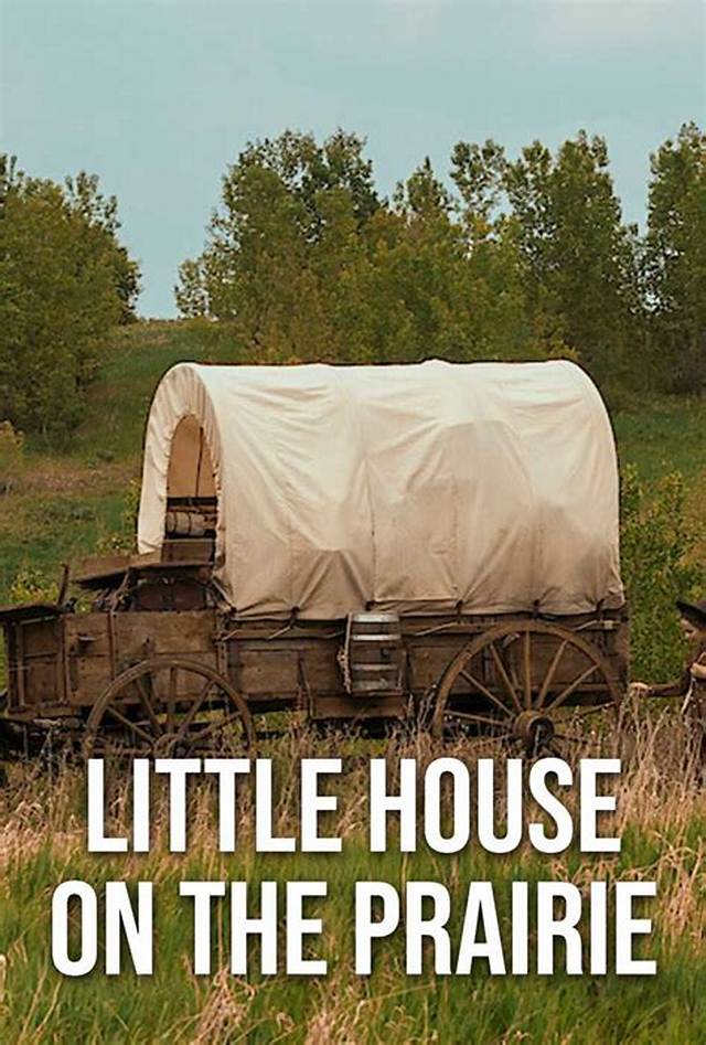 Here's What 'Little House on the Prairie' Star Melissa Sue Anderson Is Doing Now