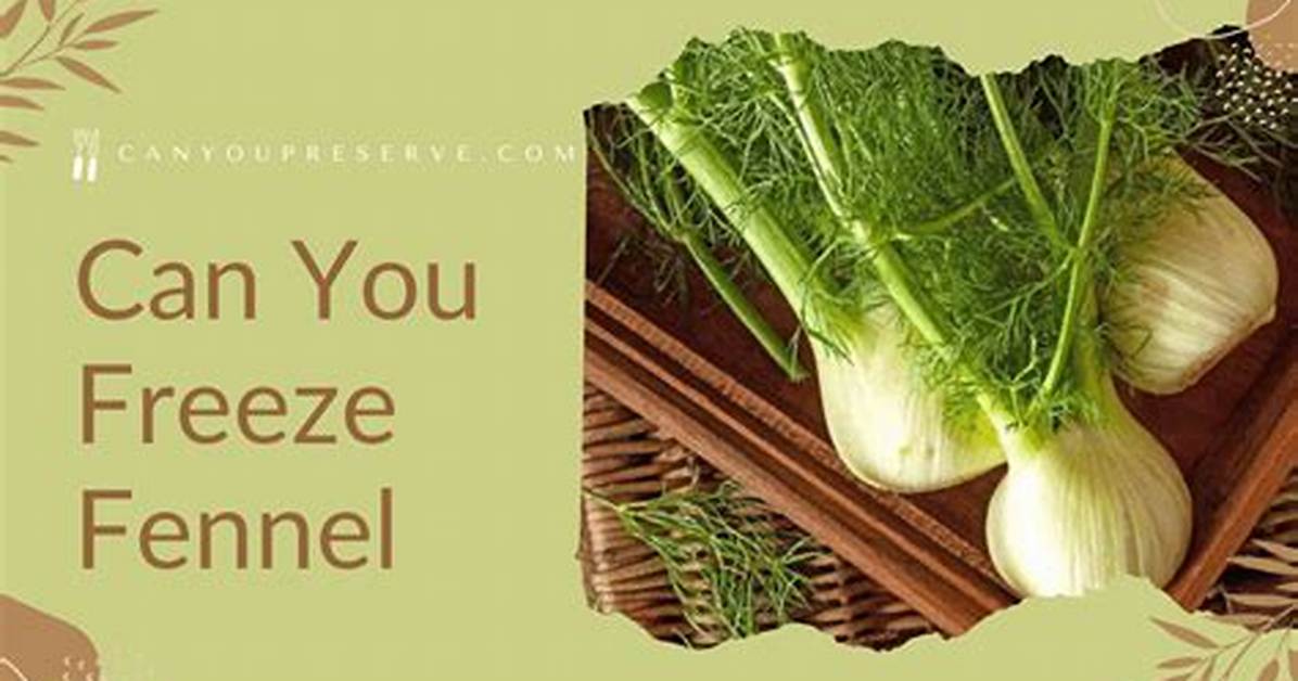 How Do You Freeze Fennel Leaves?