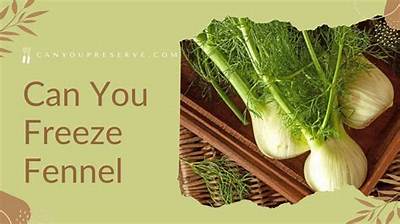 How Do You Freeze Fennel Leaves?