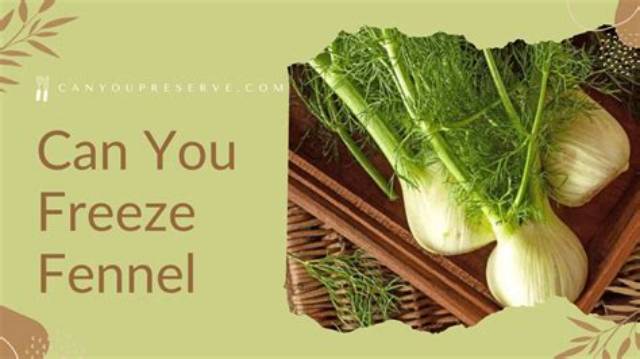 How Do You Freeze Fennel Leaves?
