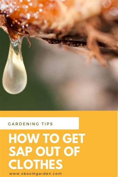 How Do You Get Tree Sap out of Fabric?