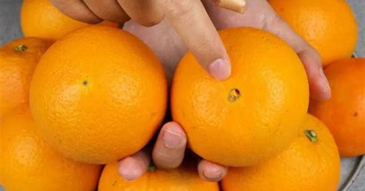 How Do You Pick Navel Oranges in the Grocery Store?