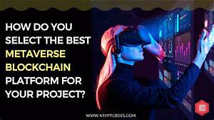 How Do You Shop in the Metaverse?