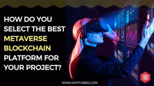 How Do You Shop in the Metaverse?