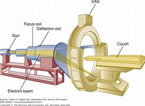 How Does the Petrification Beam Work?