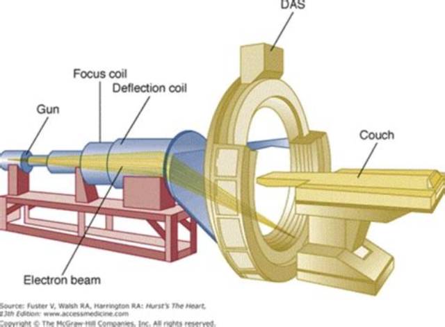 How Does the Petrification Beam Work?