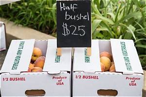 How Much Does a Half Bushel of Squash Weigh?