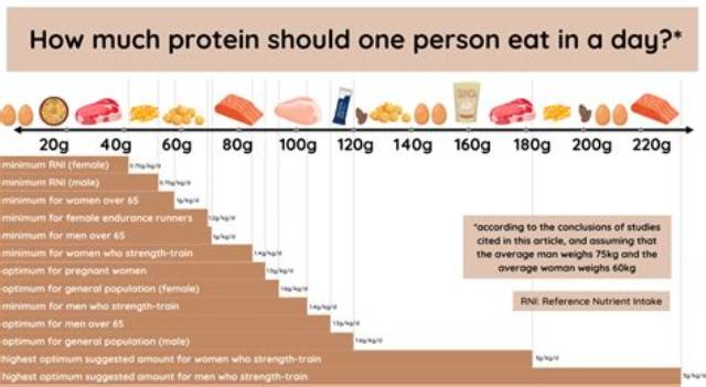 How Much Protein Should I Eat to Lose Weight?
