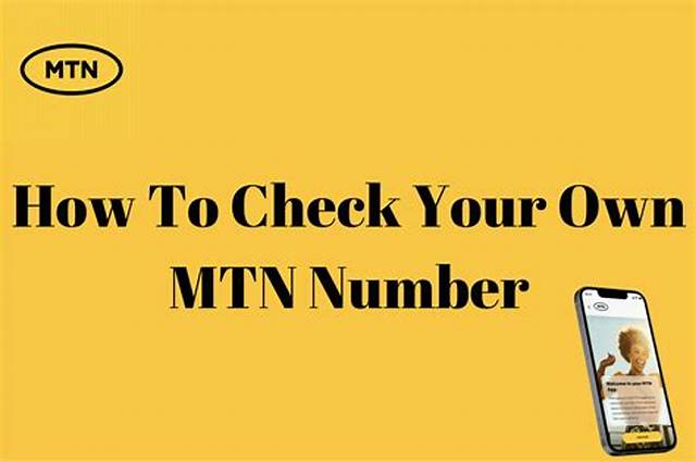How to Check Mtn Number: 5 Workable Ways to Do That
