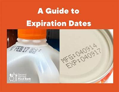 How to Set the Expiration Date for My Flipbook's Link?