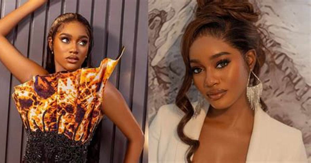 “I Failed, I’m Striving to Forgive Myself” – Bbn’s Beauty Tenders Apology Again