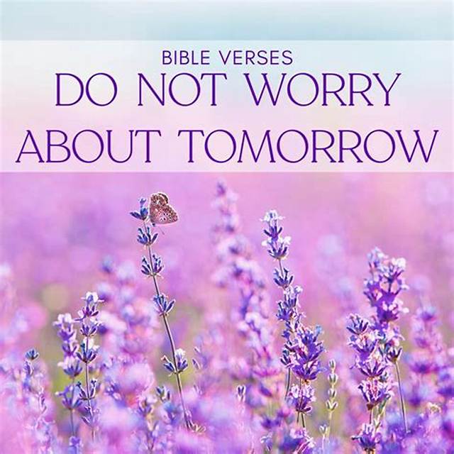 If We Are Not to Worry About What We Will Eat, Drink, or Wear (Matthew 6:31), Why Do Millions of People Have Nothing to Eat, Drink, or Wear?