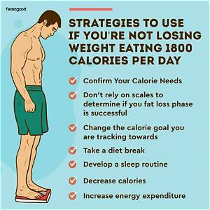 Is 1800 Calories a Day Too Much?
