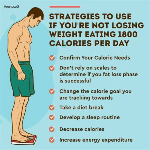Is 1800 Calories a Day Too Much?