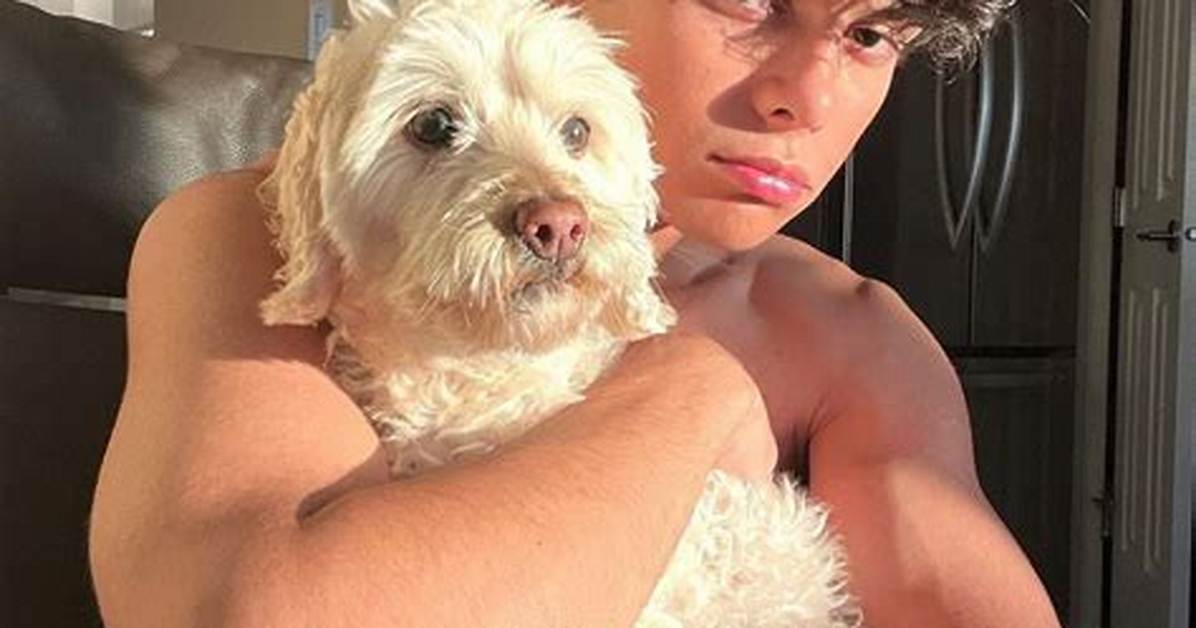 Is Benoftheweek Gay or Straight? His Sexuality Revealed