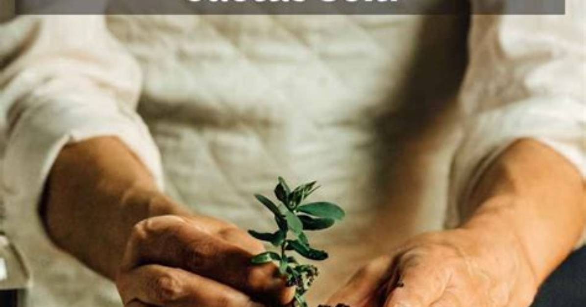 Is Bonsai Soil the Same as Cactus Soil?