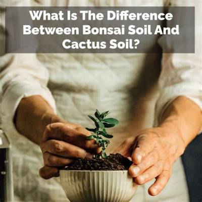 Is Bonsai Soil the Same as Cactus Soil?