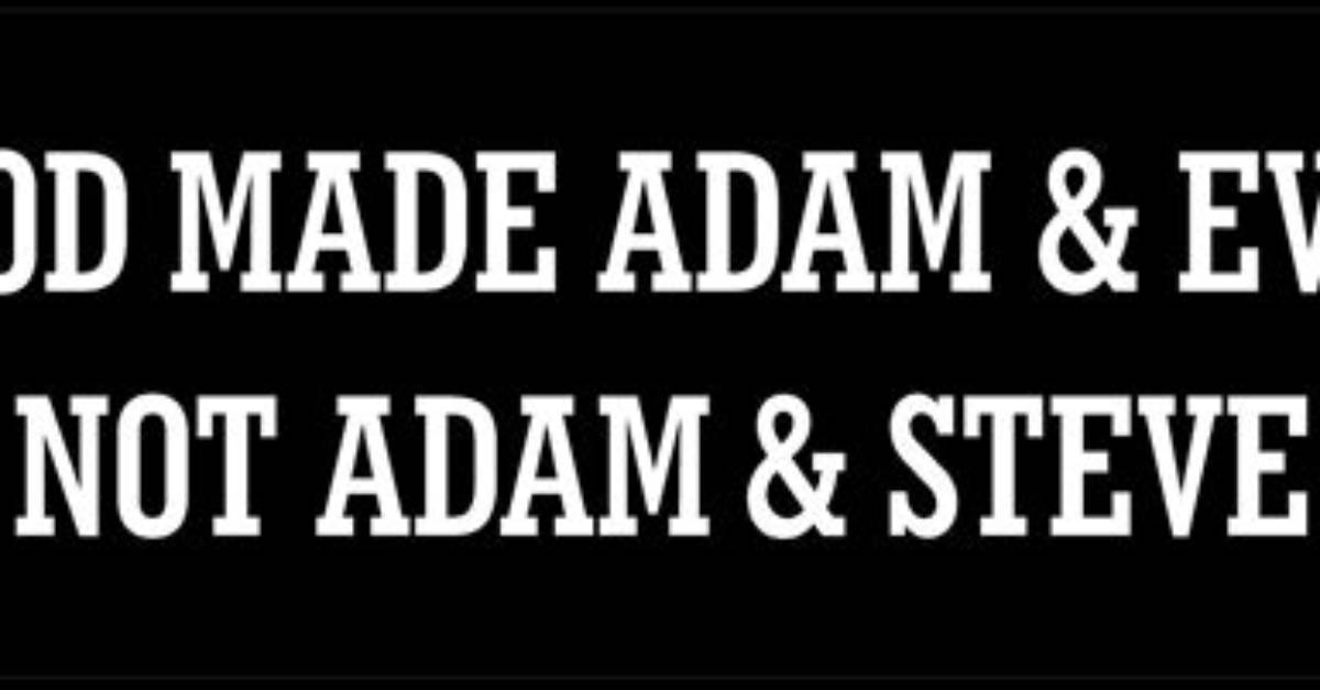 Is “God Made Adam and Eve, Not Adam and Steve” a Good Argument Against Homosexuality?