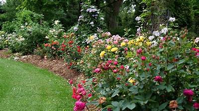 Is Great Garden Plants Legit?