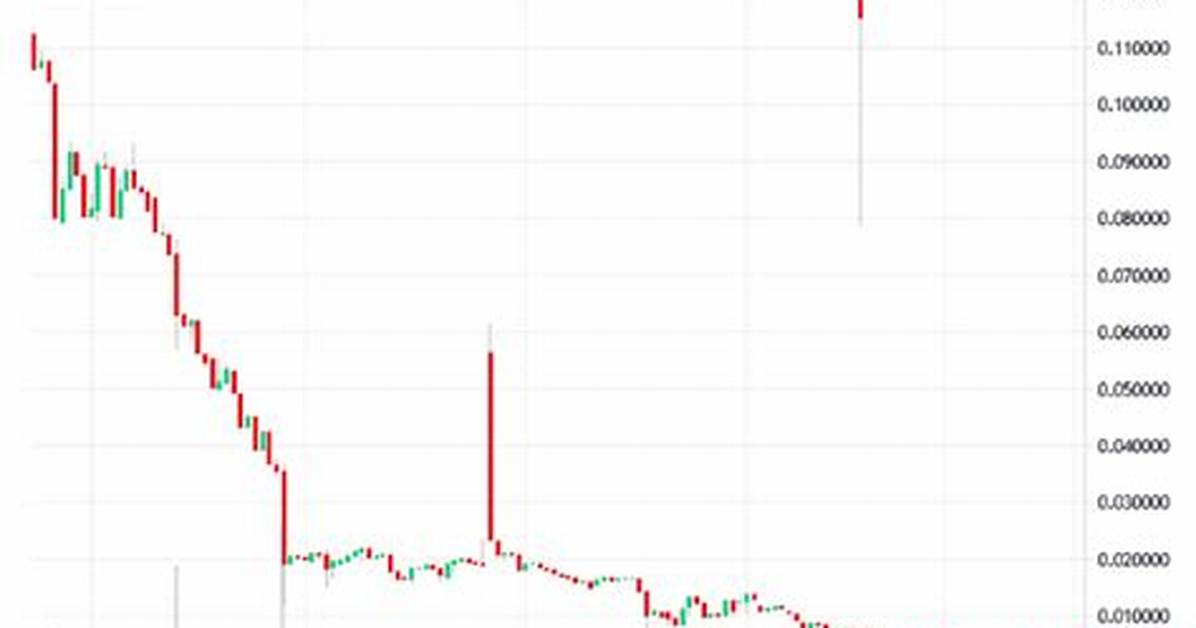 Is Spacex Token Legit? Beware — No Official Ties to Elon Musk