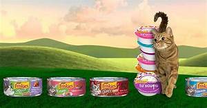 Is There a Shortage of Friskies Wet Cat Food in 2022?
