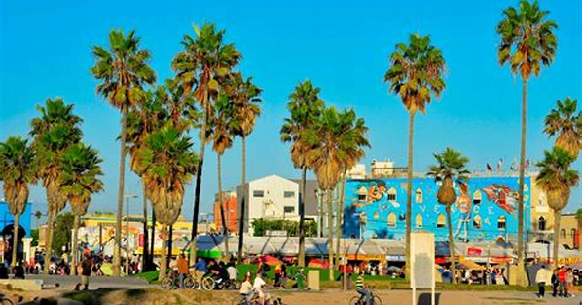 Is Venice Beach Nice to Swim?