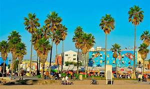 Is Venice Beach Nice to Swim?