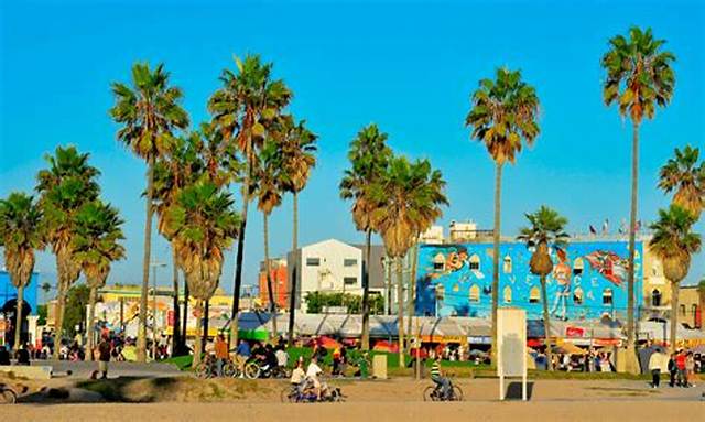 Is Venice Beach Nice to Swim?