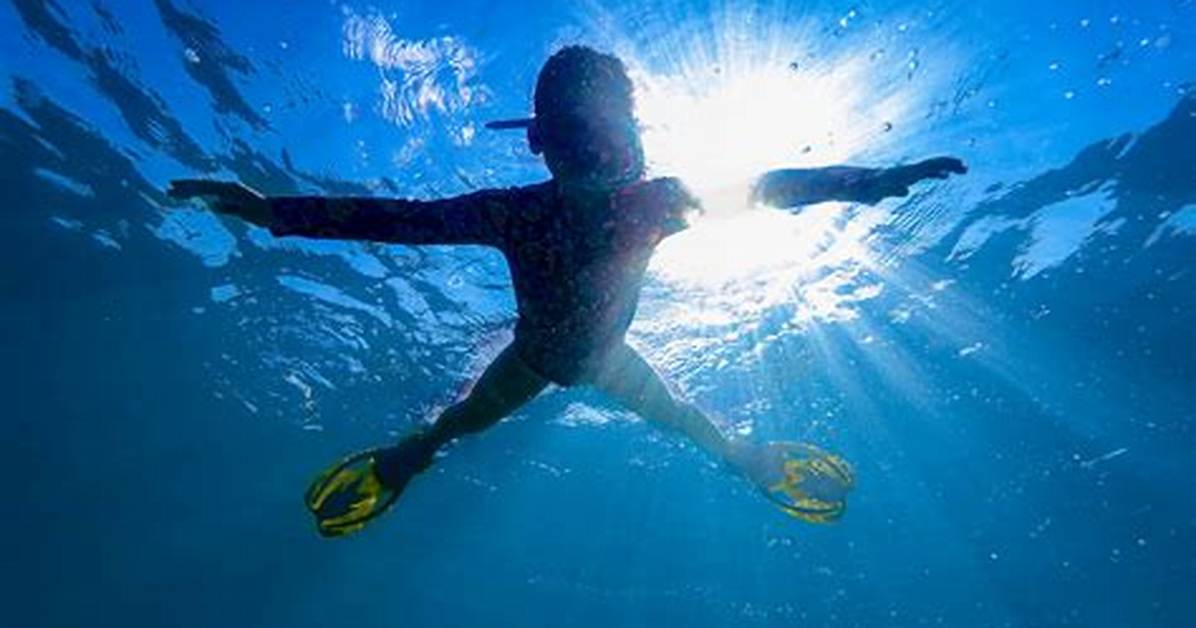 ‘It’s an Anti-Adrenaline Sport’: Inside the Dangerous World of Freediving | Documentary Films