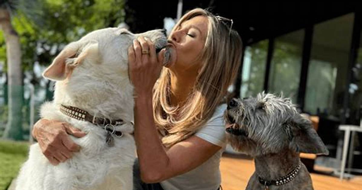 Jennifer Aniston's Dog Made a Cameo on Hit Sitcom