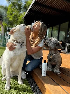 Jennifer Aniston's Dog Made a Cameo on Hit Sitcom