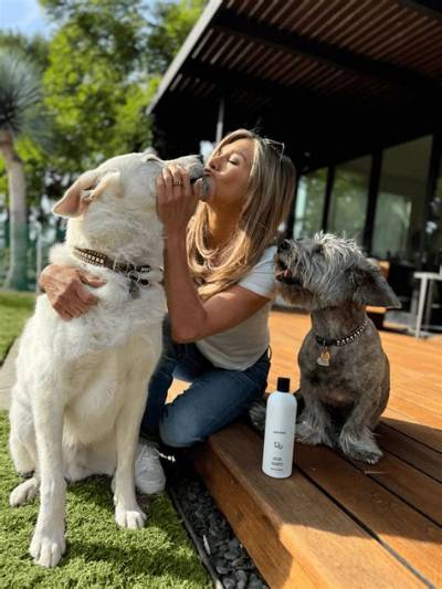 Jennifer Aniston's Dog Made a Cameo on Hit Sitcom