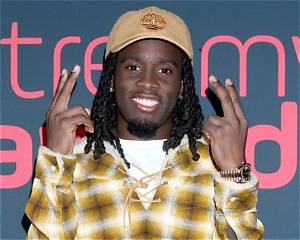 Kai Dolbashian Net Worth