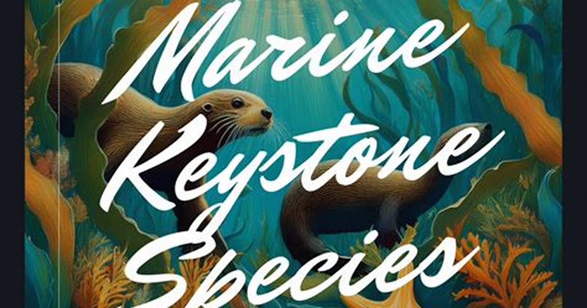 Keystone Edition | the World's of Science Fiction and Fantasy | Season 2022