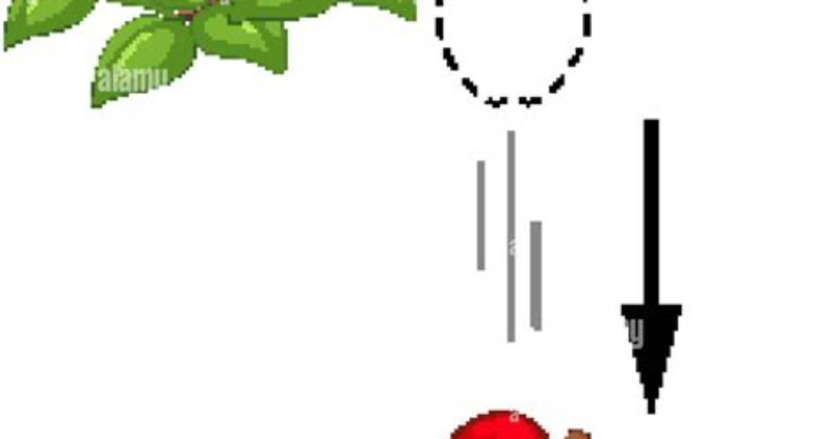 La Pomme Qui Tombe De L’arbre?