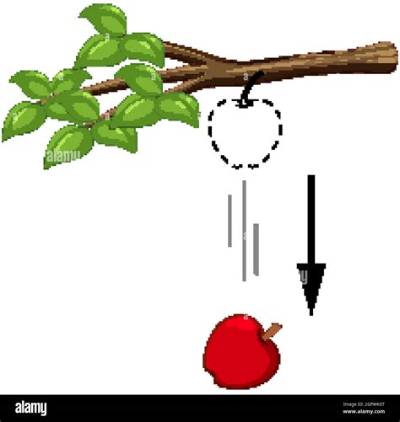 La Pomme Qui Tombe De L’arbre?