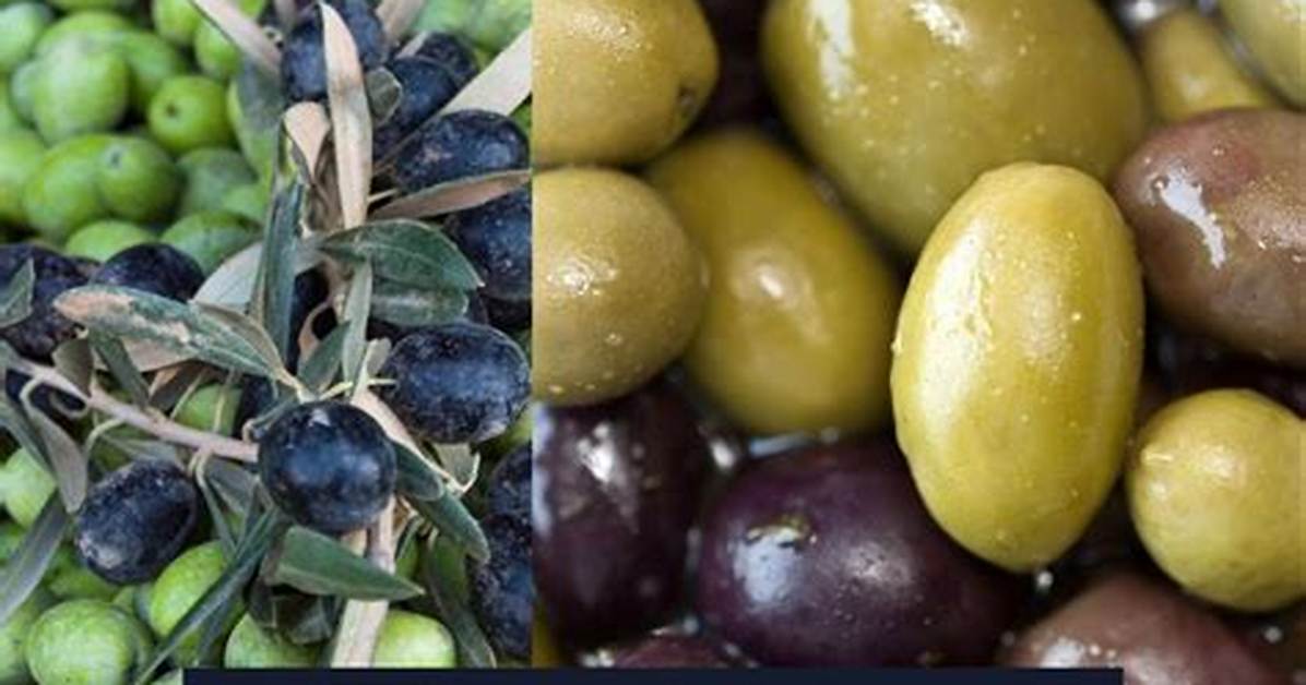 Les Olives Sont Des Fruits Ou Des Légumes?