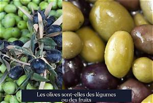 Les Olives Sont Des Fruits Ou Des Légumes?