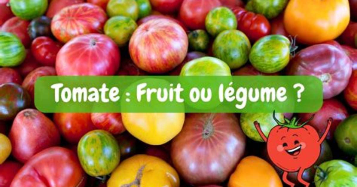 Les Tomates Sont Elles Des Fruits Ou Des Legumes?