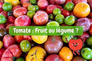 Les Tomates Sont Elles Des Fruits Ou Des Legumes?
