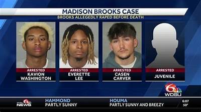 Meet Ronald Haley, Madison Brooks Suspects Attorney